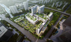 司颁布发表取梅奥诊所进行计谋合做