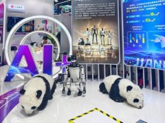 将金融、教育、医疗、文旅、体育等办事场景成